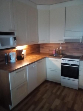 Luxurious citycenter apartment with terrace view to the mountain, lake and bridge. .